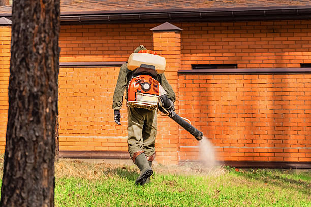 Trusted Cockroach Control service in Charlotte Hall, MD - Nex Pest Control